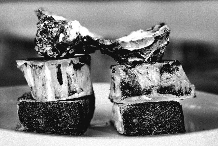 bone marrow oyster